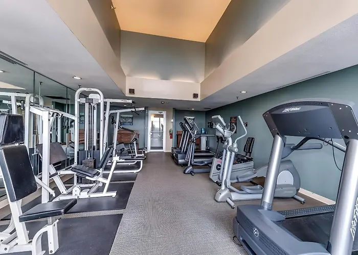 Modern Vibes 1br/1ba Il Apartment Oak Park