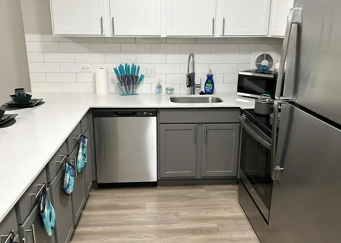 Modern Vibes 1br/1ba Il Apartment Oak Park